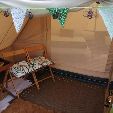 Coed Y Brenin Retreat - Bell Tent Glamping Near Aberaeron Ciliau-Aeron Exteriér fotografie