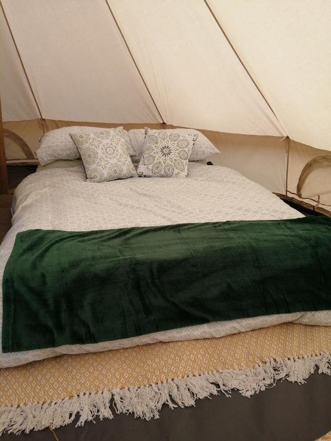 Coed Y Brenin Retreat - Bell Tent Glamping Near Aberaeron Ciliau-Aeron Exteriér fotografie