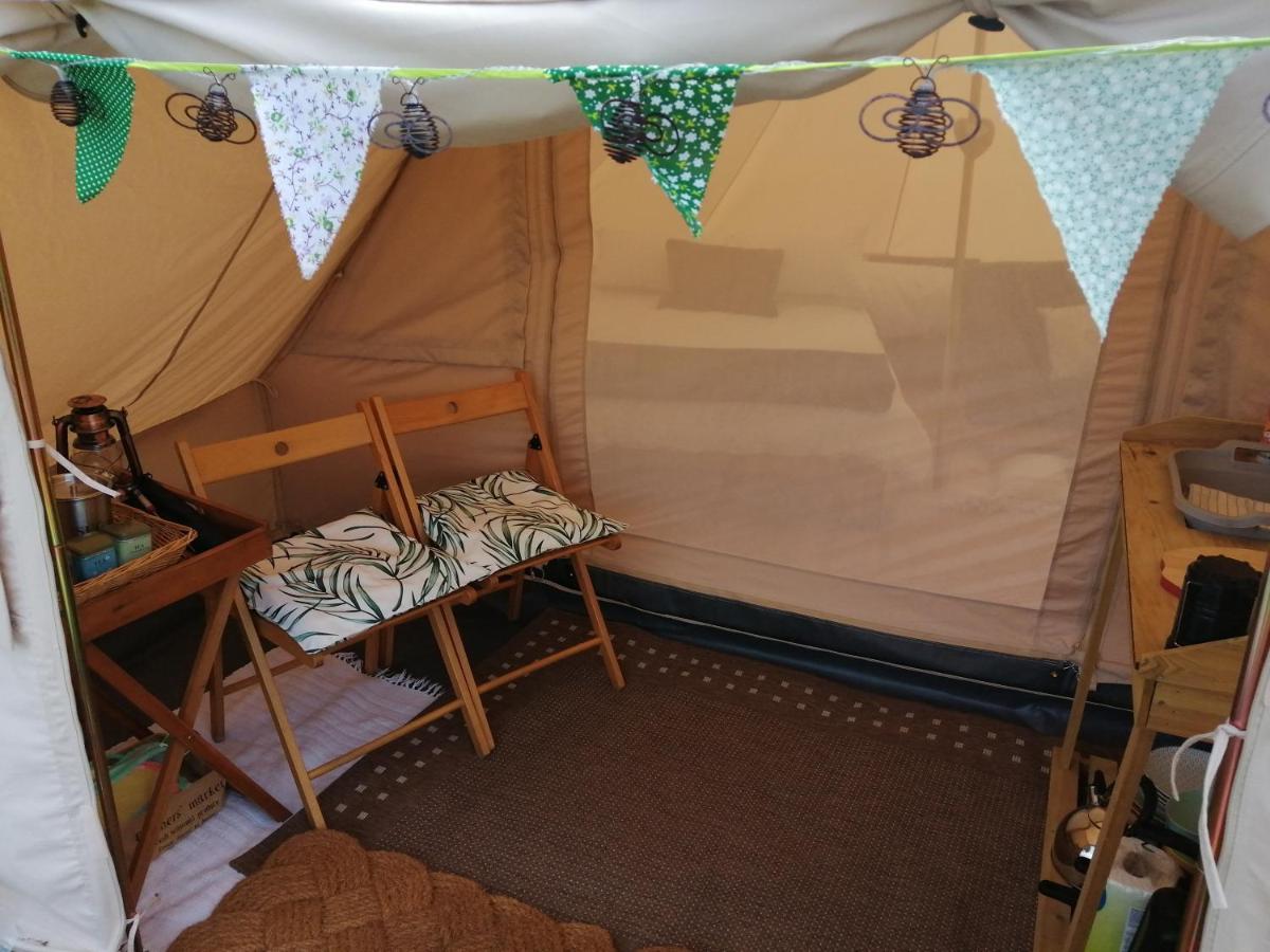 Coed Y Brenin Retreat - Bell Tent Glamping Near Aberaeron Ciliau-Aeron Exteriér fotografie